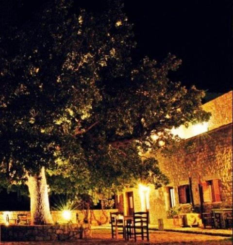 Vlyhada Guesthouse Pyrgos Dirou Ngoại thất bức ảnh